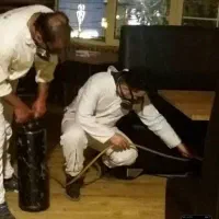سم پاشی و موریانه زدایی با ضمانت سمپاشی ساس سوسک