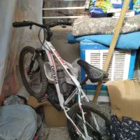 دوچرخه سواری نو نو