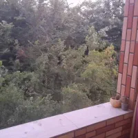 رهن و رجاره|اجارهٔ آپارتمان|رشت, سیا اسطلخ|دیوار