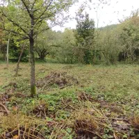 فروش-زمین-ویلایی-200-متر-در-لطیف-محله-عباس-آباد