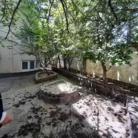 مشارکت-میرداماد