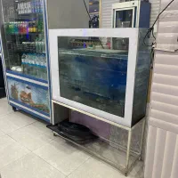 اکواریوم