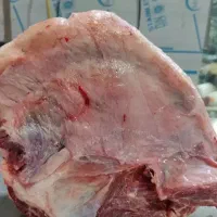 کوهان گیلک|خوردنی و آشامیدنی|تهران, وحیدیه|دیوار