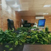 اپراتور تلفنی و ویزیتور حضوری
