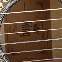 گیتار کلاسیک نو|گیتار، بیس، امپلیفایر|بیرجند, |دیوار