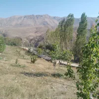 باغ|فروش دفتر صنعتی، کشاورزی، تجاری|ارجمند, |دیوار
