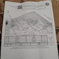 فروش چند عدد گهره