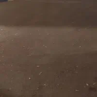 عروس هلندی گمشده