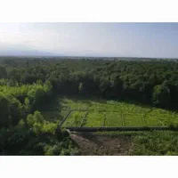 فروش-زمین-200-متری-کله-سرا