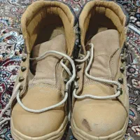 کفش ایمنی