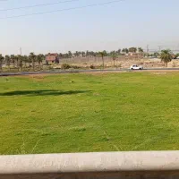 کاشت چمن طبیعی وگیاه