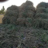 یونجه خالص
