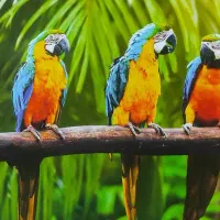 پلاتر HP Z2100 Photo|پرینتر، اسکنر، کپی، فکس|اهواز, امانیه|دیوار