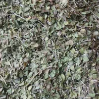 آویشن شیرازی|خوردنی و آشامیدنی|مشهد, شهرک مهر آباد|دیوار