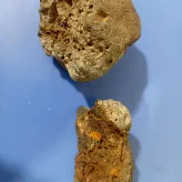 شهاب سنگ آسمانی|کلکسیون اشیاء عتیقه|تاکستان, |دیوار