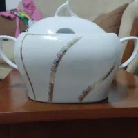 سوپ خوری چینی مقصود