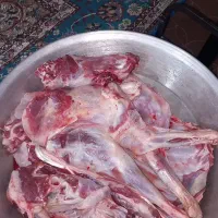 گوشت گوسفندی تازه کشتار روز
