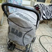 کالسکه دلیجان|کالسکه و لوازم جانبی|اصفهان, مولوی|دیوار