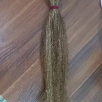 مو لایت شده|آرایشی، بهداشتی، درمانی|مرودشت, پشت سایپا|دیوار