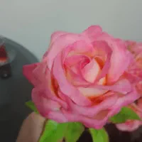 شاخه گل رز خمیری|گل مصنوعی|شیراز, شهرک گلستان|دیوار