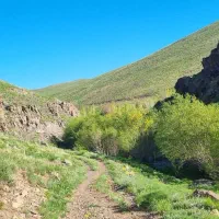 زمین-کوی-ارم-جوانی-جمعیت