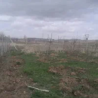 باغ|فروش دفتر صنعتی، کشاورزی، تجاری|تکاب, |دیوار