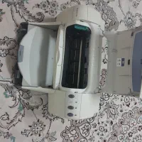 پیرینت رنگی