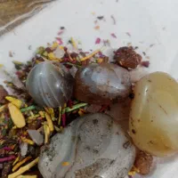 مهره|کلکسیون اشیاء عتیقه|بهبهان, |دیوار