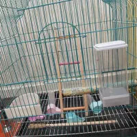 قفس پرند باکلیه امکانات