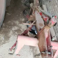 موور ، یونجه چین ، دیسک ترکیه ای ، دیکس