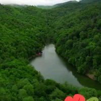 اجاره خانه  سوییت دربست ویو عالی جنگل