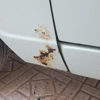 پیکان وانت مدل اخرای 92|خودرو سواری و وانت|میناب, |دیوار