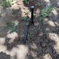 آبیاری قطره ای