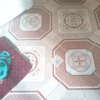 نظافت منزل وراهپله انجام میدم