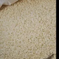 برنج عنبربو خوزستان اهواز