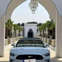 اجاره ماشین عروس/کرایه ماشین عروس/اجاره خودرو