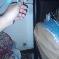 مرغ عشق دست مولد|پرنده|شاهینشهر, مسکن مهر|دیوار