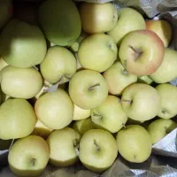 سیب ارگانیک