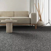 پالاز موکت ،موکت