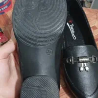 کفش اسپرت کالج|کیف، کفش، کمربند|قم, نیروگاه|دیوار