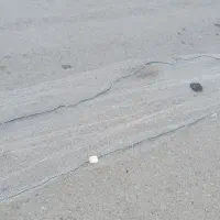 تور ماهیگیری راه بند