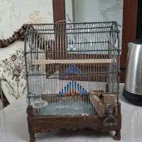 قفس چوبی سهره