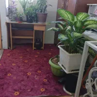 خونه ویلایی|فروش خانه و ویلا|بروجرد, |دیوار