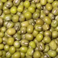 فروش حبوبات بدون آشغال|عمده‌فروشی|یاسوج, |دیوار