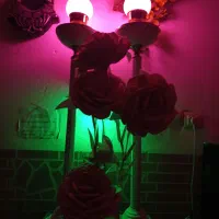 جفت ‌اباژور قدیمی کلاسیک|کلکسیون اشیاء عتیقه|کرمان, |دیوار