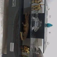 میز زیر تی وی شیشه ای مشکی