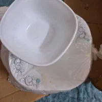 ظروف آرکوپال و چینی