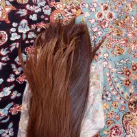 خریدارموی طبیعی|آرایشگاه و سالنهای زیبایی|سردشت, |دیوار