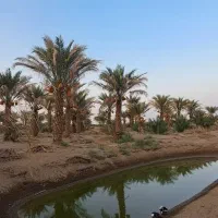 سفرکویردرشب راباماتجربه کنید|تور و چارتر|نسیمشهر, |دیوار