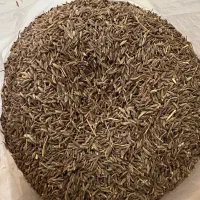 زیره درجه یک کوهی(تضمینی)